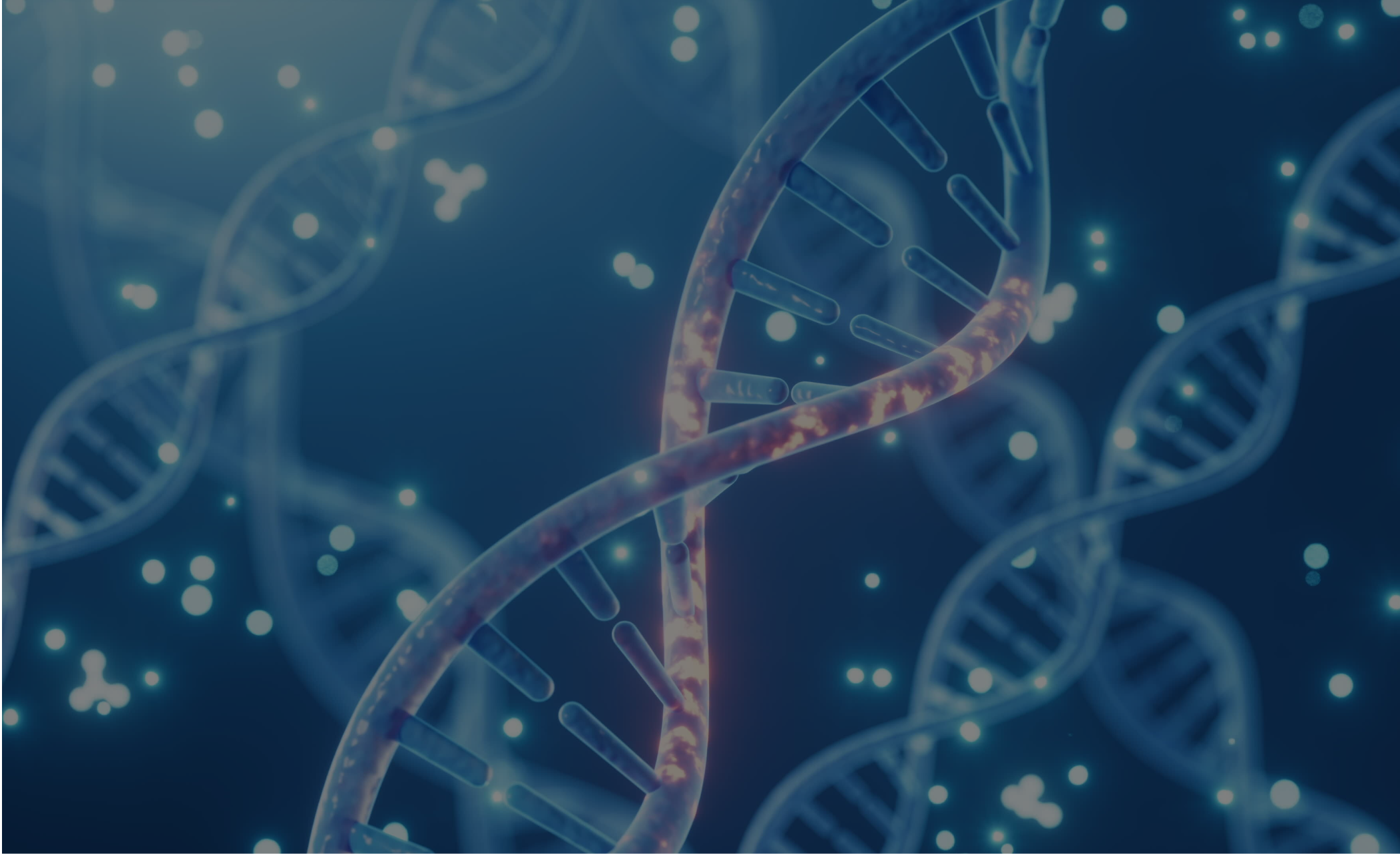 Link to Lung Life AI